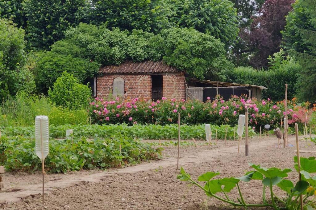 Uw Eigen Boerderij Bij Le Moulin De La Place Hargicourt Екстер'єр фото