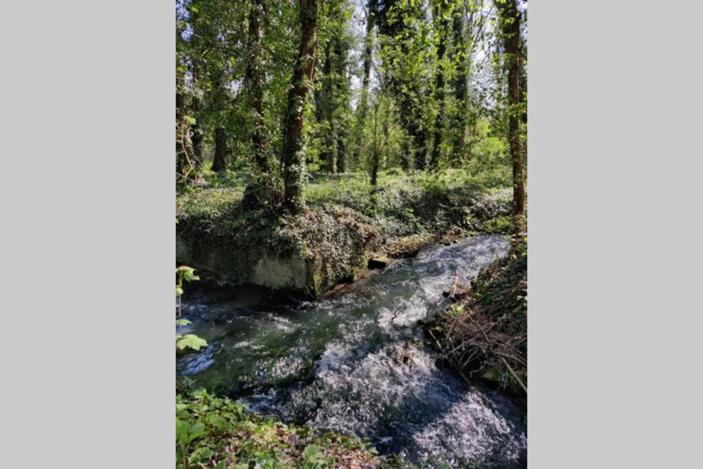Uw Eigen Boerderij Bij Le Moulin De La Place Hargicourt Екстер'єр фото